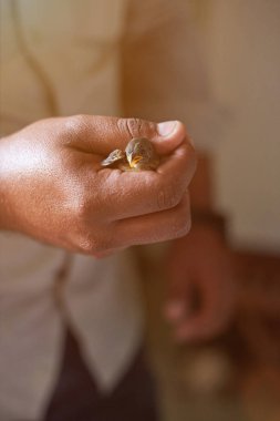 Adam elindeki küçük kuş