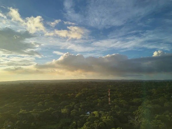 Günbatımı üzerinde yeşil orman