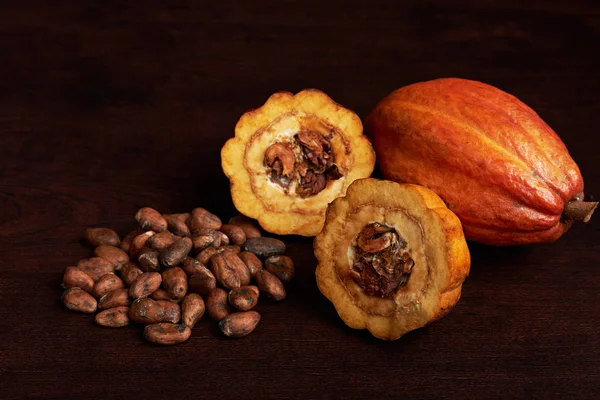 Tema Cacao pod — Foto de Stock