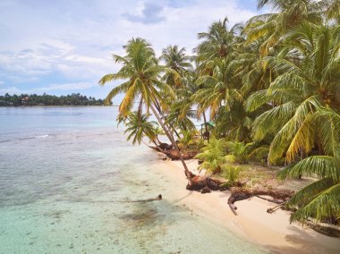 avuç içi caribbean Beach