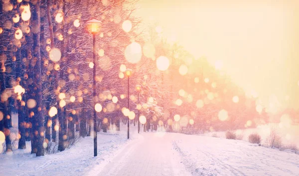 Flocos de neve no fundo do parque de inverno. Queda de neve no parque . — Fotografia de Stock