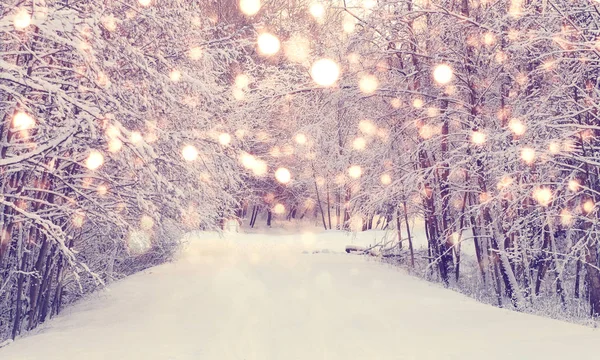 Рождественский снегопад в парке — стоковое фото