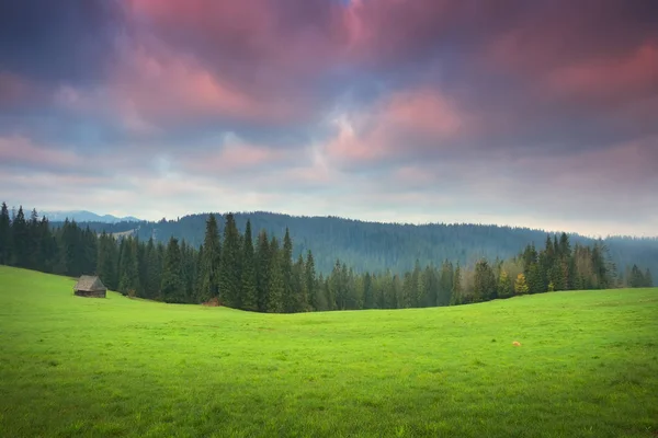 Valle verde all'alba — Foto Stock