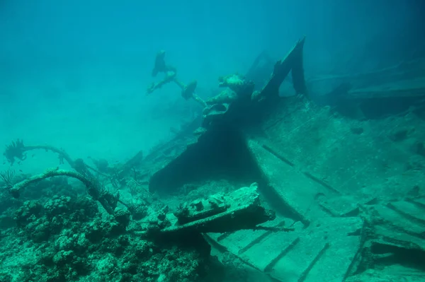 Gemi enkazı metal yay