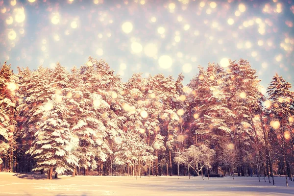 Fondo de Navidad colorido — Foto de Stock