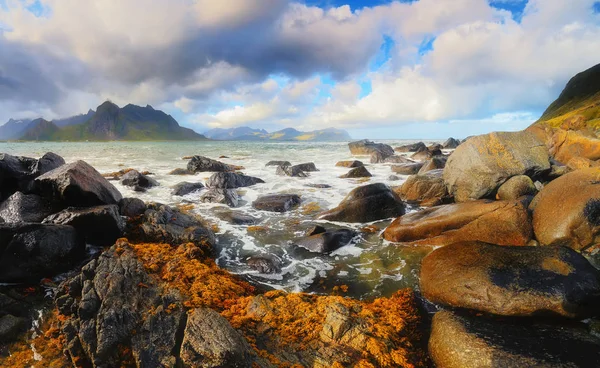 Zeegezicht van Lofoten stenen strand — Stockfoto