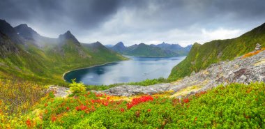 Sonbahar Norveççe sahne
