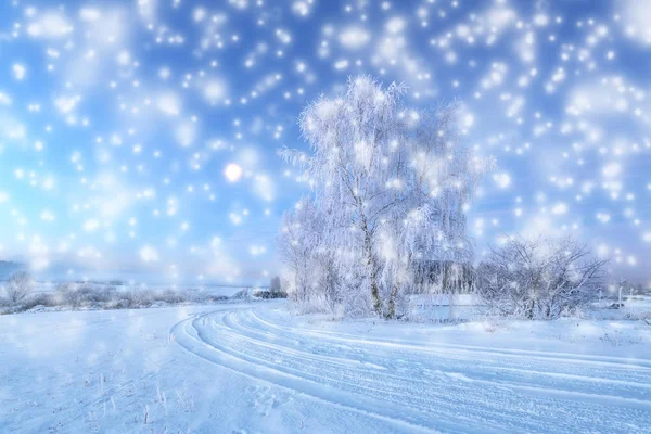 Nieve de Navidad en el parque — Foto de Stock