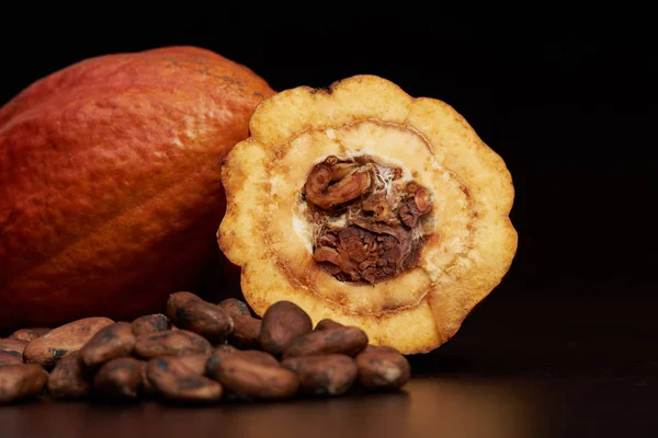 Tema Cacao fruit — Foto de Stock