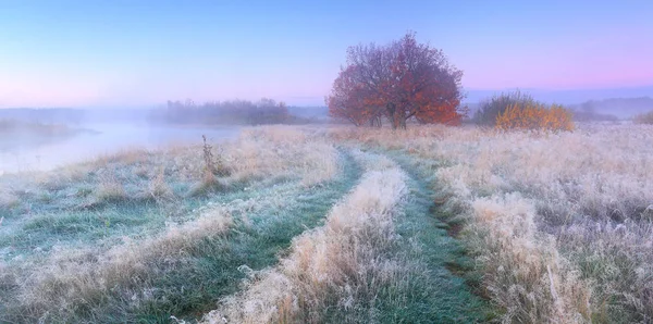 Frosty podzimní ráno — Stock fotografie