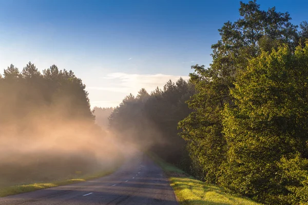 Straße durch Nebel — Stockfoto