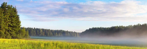 Mattina estiva soleggiata — Foto Stock