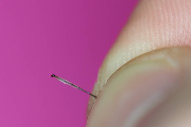 Saç köküne yakın çekim