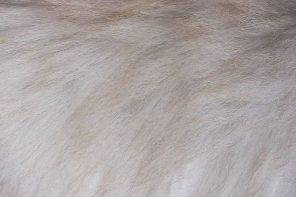 Сіра коричнева текстура хутра — стокове фото