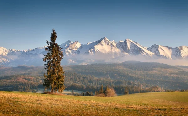 Mattina soleggiata in montagna — Foto Stock