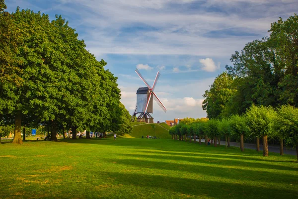 Windmill in Brugge, Belgium — 스톡 사진