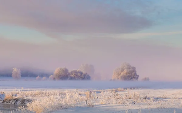 맑은 겨울 풍경 — 스톡 사진