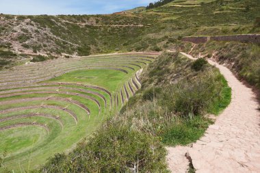 Antik Inca daire teraslar