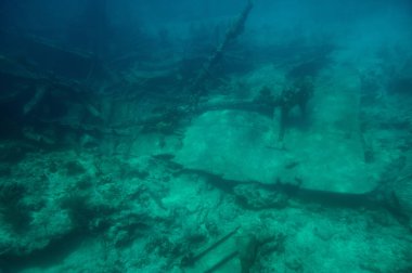 Karayip Denizi dibinde batık