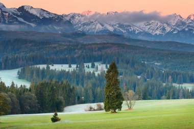 Tatra Dağları'nda pitoresk Vadisi