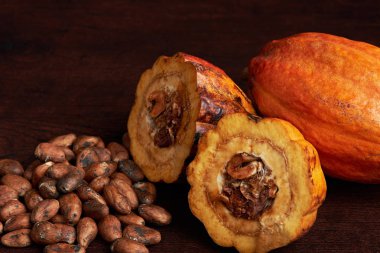 Çikolata kakao bakla