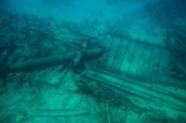 Shpwreck cam alt tekne turu izlerken