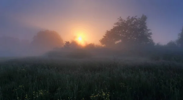 Nebelige Morgenszene — Stockfoto