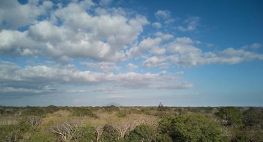 Orman ve volkan gökyüzü arka plan üzerinde