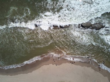 İnsanlar okyanus sahil şeridi üzerinde