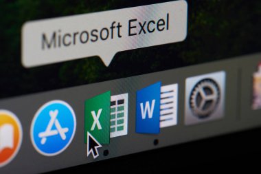 Microsoft office excel simgesini koyunda