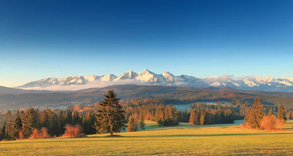 Pintoresca mañana en las montañas de Tatra — Foto de Stock