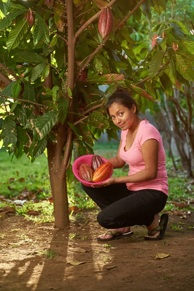 Rapariga pegar frutas de cacau — Fotografia de Stock