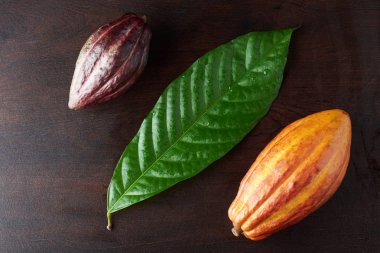 Kakao bitkinin Olgun