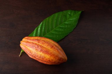 Turuncu renk ham pod