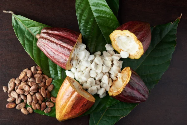Semillas frescas blancas de vaina de cacao — Foto de Stock
