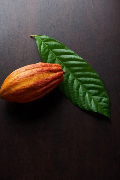 Frijol de cacao y hoja verde — Foto de Stock