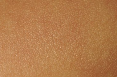 Koyu kahverengi ten arkaplan dokusu