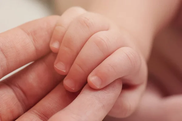 Маленька рука новонародженого — стокове фото