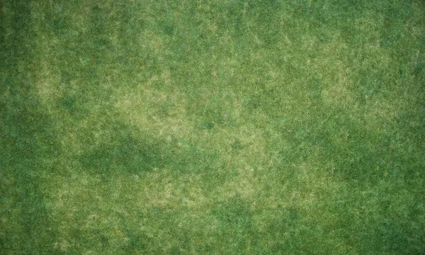 Textura verde del prado — Foto de Stock