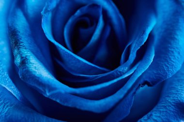 Sevgililer Günü geçmişi