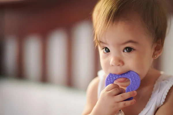 Niño chupando púrpura juguete — Foto de Stock