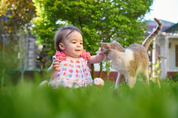 Kleine baby spelen met kat — Stockfoto