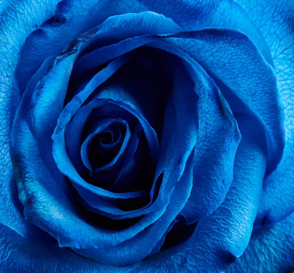 Абстрактный синий цветочный фон — стоковое фото