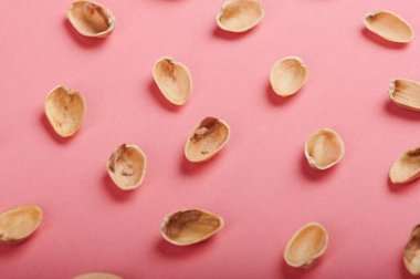 Boş ceviz kabuğu arkaplanı