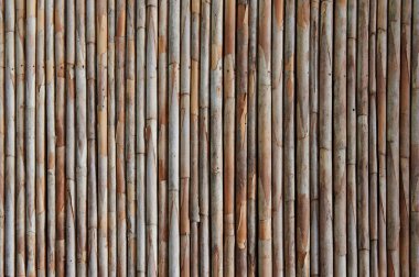 bambu sopa arka plan