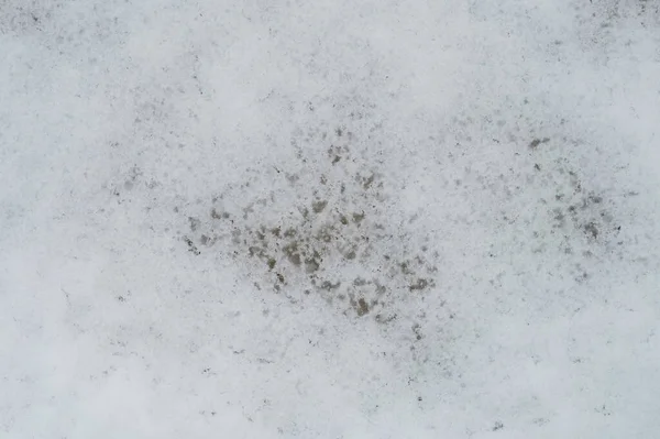 Derretimiento Fondo Textura Nieve Hielo Derretimiento Fondo Nevado — Foto de Stock