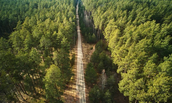 Country road in middle of forest above drone view in summer time