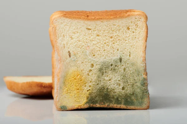 用灰色背景分离出的有害细菌在切片面包上的霉菌 — 图库照片
