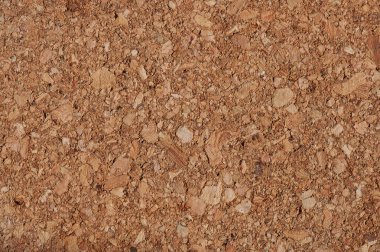 Ahşap mantar desen arka plan makro yakın görünüm