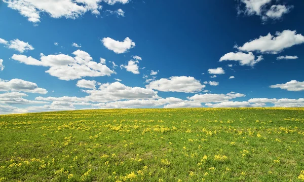 Grüne Und Gelbe Wiese Blauen Himmel Mit Wolken — Stockfoto